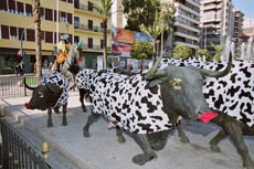 Carnavales Alicante