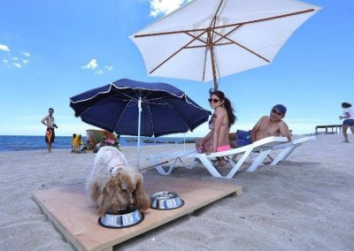 Playa de Aguamarga. Dog-friendly beach
