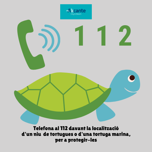 ‘Alerta Tortuga’ a les platges d’Alacant