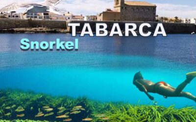 Guía de Snorkel en Tabarca