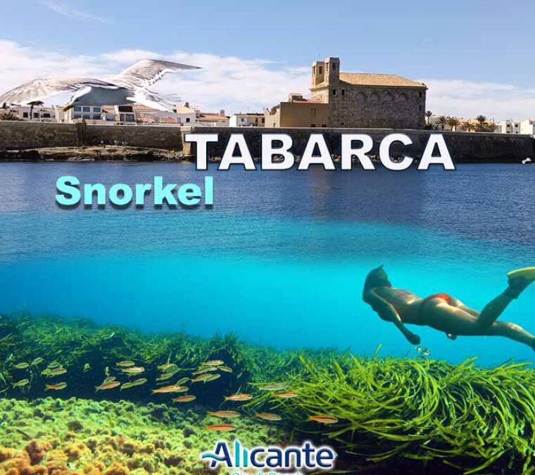 Guía de Snorkel en Tabarca